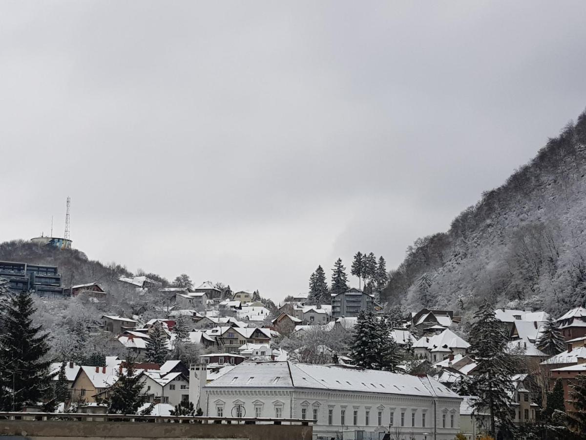 Winter Dream Home Брашов Екстер'єр фото